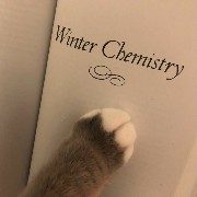 kitty paw widget