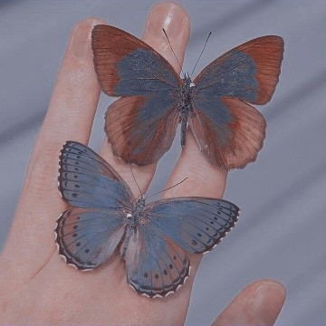 aesthetic 