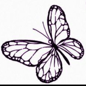 Butterfly widget