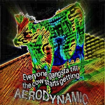 aerodynamic cow