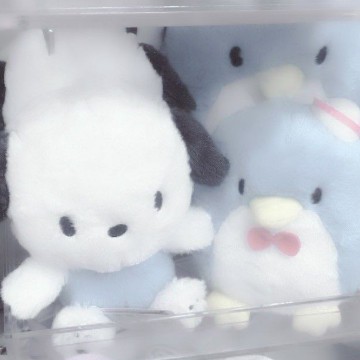 widget photo 