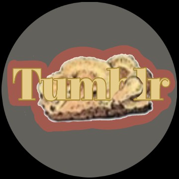 tumblr app icon