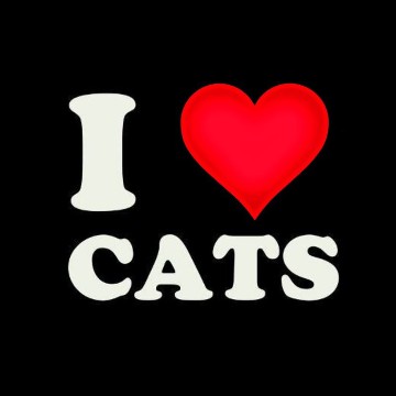 i move cats