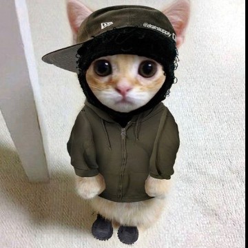 yeat cat 