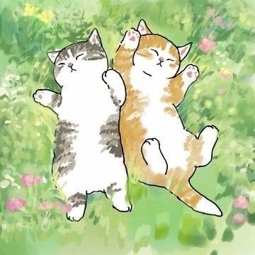Cute Cats