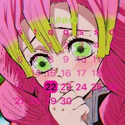 widget mitsuri 