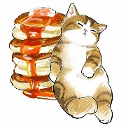 cute cat with pancakes