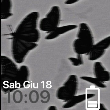 butterflies  