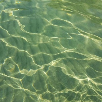 green pool