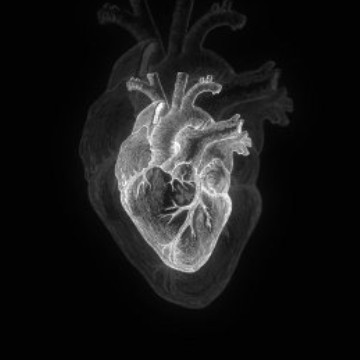 heart
