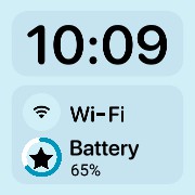 Time Network Battery Copy