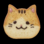toast cat png