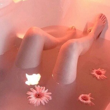 pink  rosa