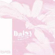 daisy flower