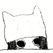 cat hat