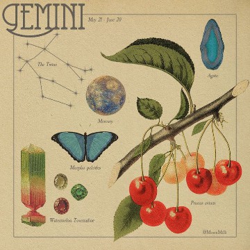 gemini