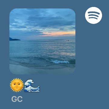 spotify widget