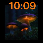 fantasy mashrooms