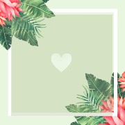 aesthetic green 