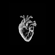 white human heart