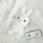 white widget