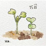 plants 