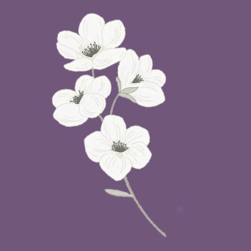 Image widget
