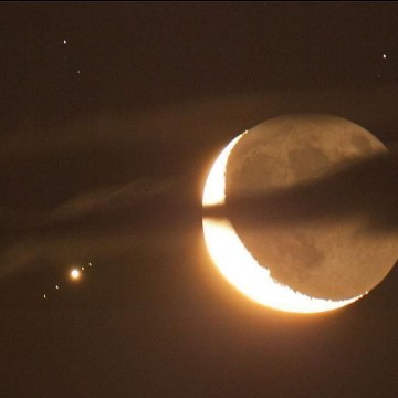 moon brown