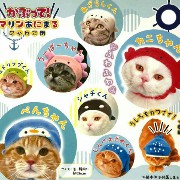 Gatitos