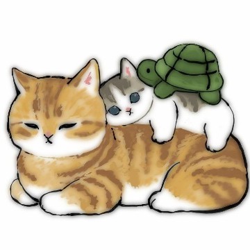 cute cats