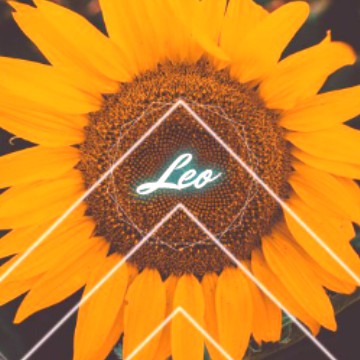  Leo sunflower