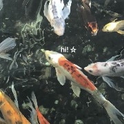 sea 1