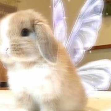 CUTE 