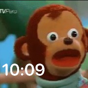 Mono que dice la hora
