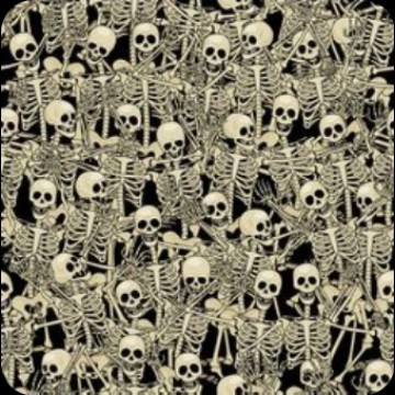 skeleton