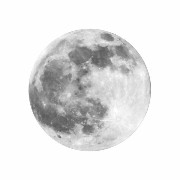 moon grey widget