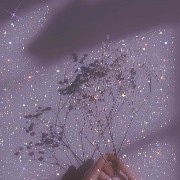 aesthetic flower