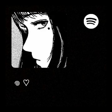 Spotify widget 