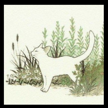 forest cat