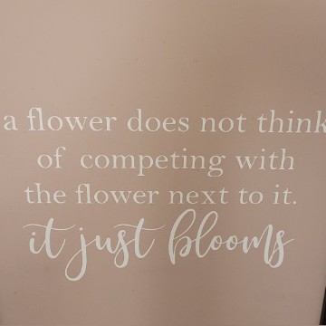 bloom