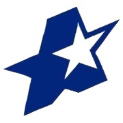Y2K Dark blue star