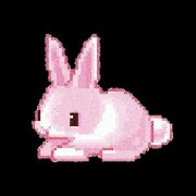 bunny png