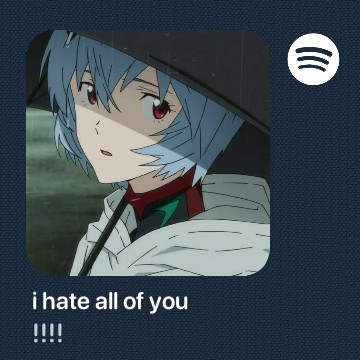 rei widget Spotify