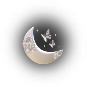 moon widget