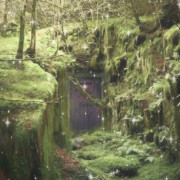 magic doors green