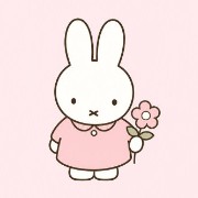 miffy