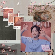 Stray Kids, Han 