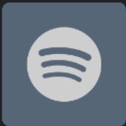 Working Spotify Blue Grey Widget 