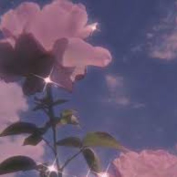 image aesthetic background