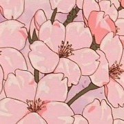 flor de cerezo